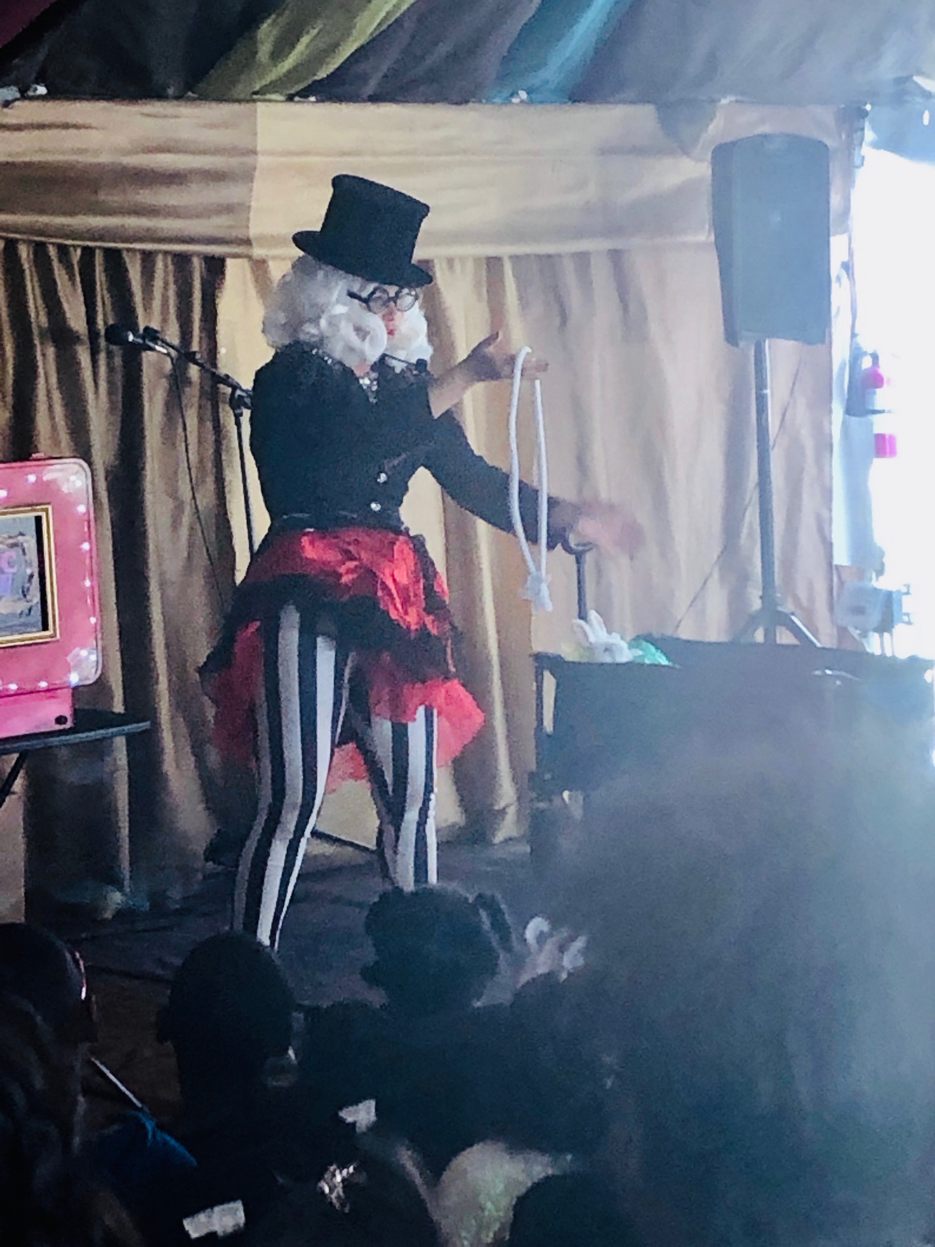 Miss Molly performing a magic show