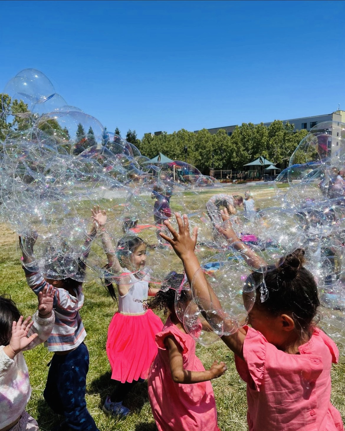 Soap Bubbles